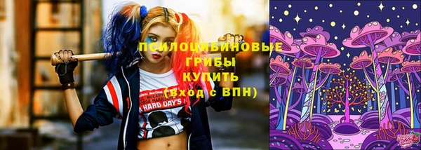 хмурый Балахна