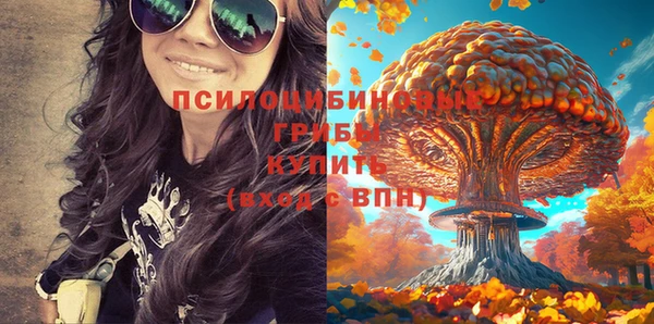 хмурый Балахна