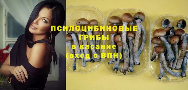 spice Баксан