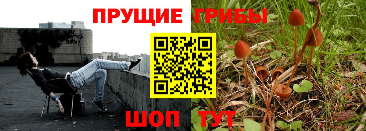 купить наркотик  Вход с VPN  Белово  Галлюциногенные грибы MAGIC MUSHROOMS 