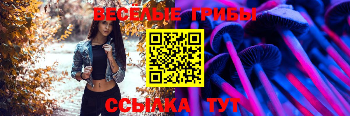 Галлюциногенные грибы Psilocybe Белово